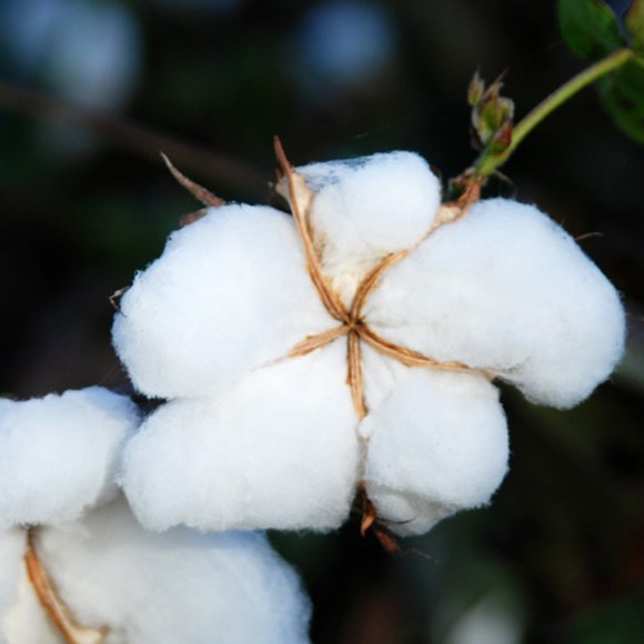 NIB GRAY- QUEEN or FULL EASY-on ZIP ZIP FLIP DUVET COVER + DUVET + Laundry - Picture 6 of 8